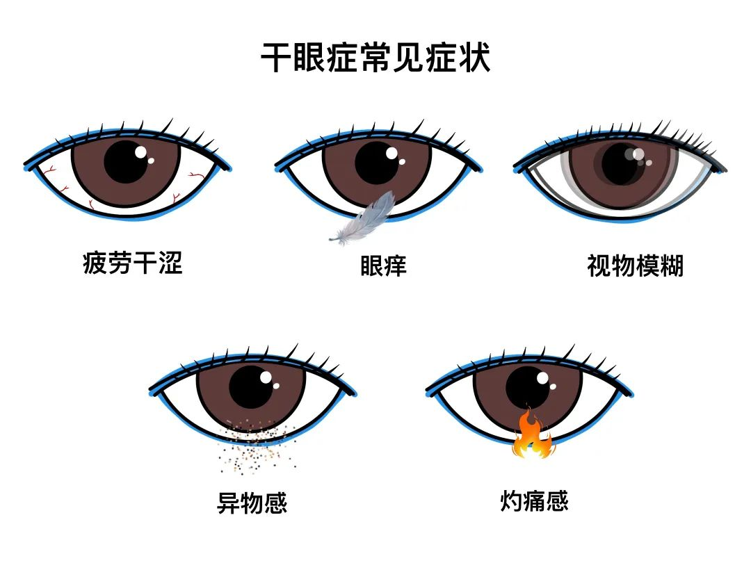 1749194337120239.png 圖片1.png